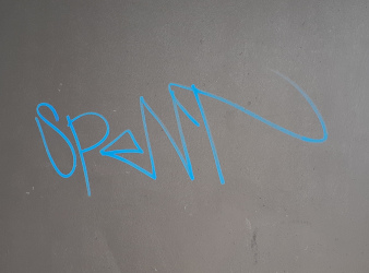 A graffiti tag of the word 'spent' written on a bus shelter wall in blue paint.